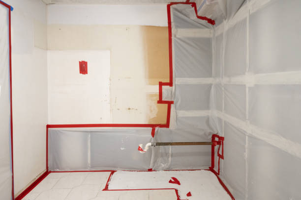 Best Mold Removal for HVAC Installations  in Francisville, KY