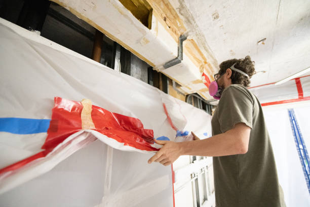 Professional Mold Removal in Francisville, KY