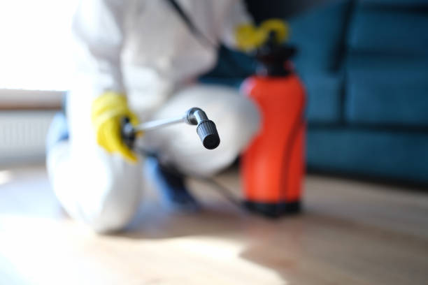 Best Industrial Mold Remediation  in Francisville, KY