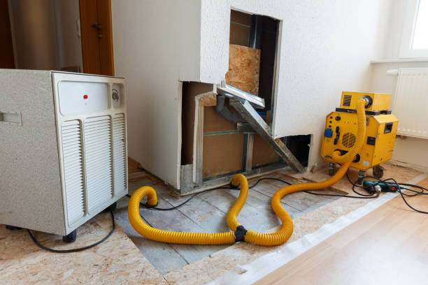 Best Mold Odor Removal Services  in Francisville, KY