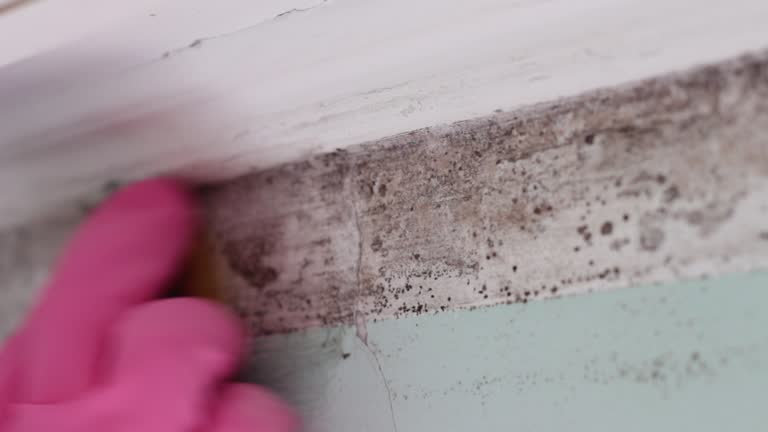 Asbestos and Lead Testing During Mold Inspection in Francisville, KY